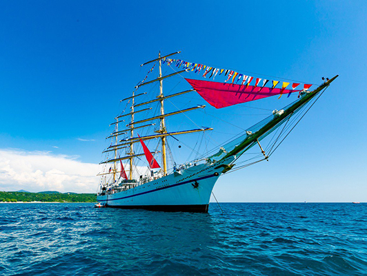 Training vessel Khersones with scarlet sails called at a roadstead in the water area of the RCC "Orlyonok" in honor of the birthday of the children's center