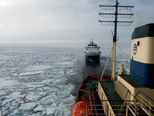 The icebreaker Dikson successfully piloted the scientific vessel Akademik Primakov through the Vilkitsky Strait